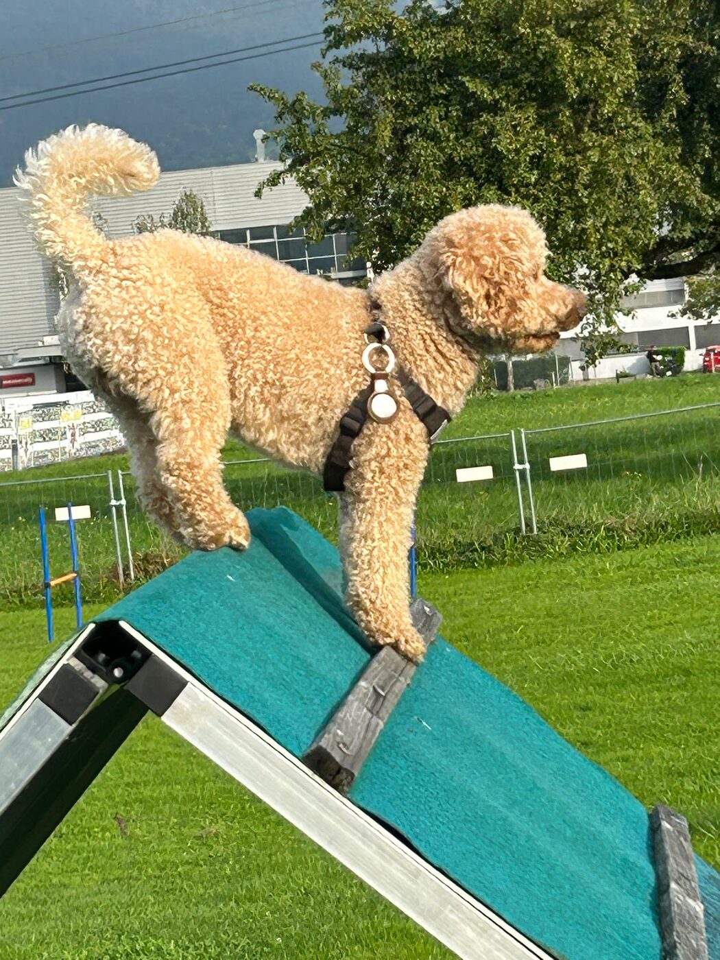 Aus dem Training