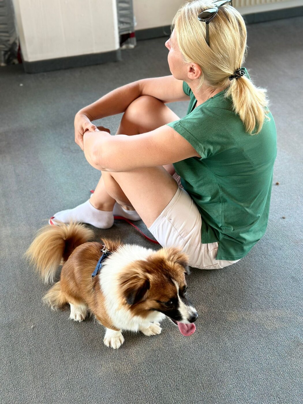 Aus dem Training